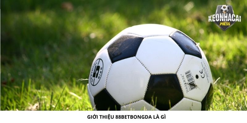88betbongda Là Gì? Giới Thiệu Nhanh Về Nhà Cái Uy Tín 2024 - bản quyền Kèo Nhà Cái 88 Giới thiệu 88betbongda