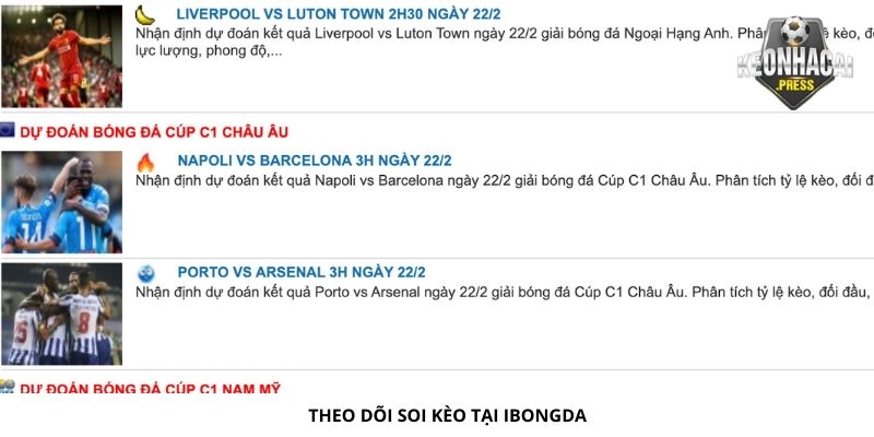 Ibongda Là Gì? Vì Sao Nên Sử Dụng Trang Web? - bản quyền Kèo Nhà Cái 88 Theo dõi soi kèo tại Ibongda