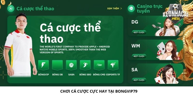 Bongvip79 Là Gì? Điểm Đến Lý Tưởng Cho Thể Thao Bóng Đá - bản quyền Kèo Nhà Cái 88 Chơi cá cược cực hay tại Bongvip79