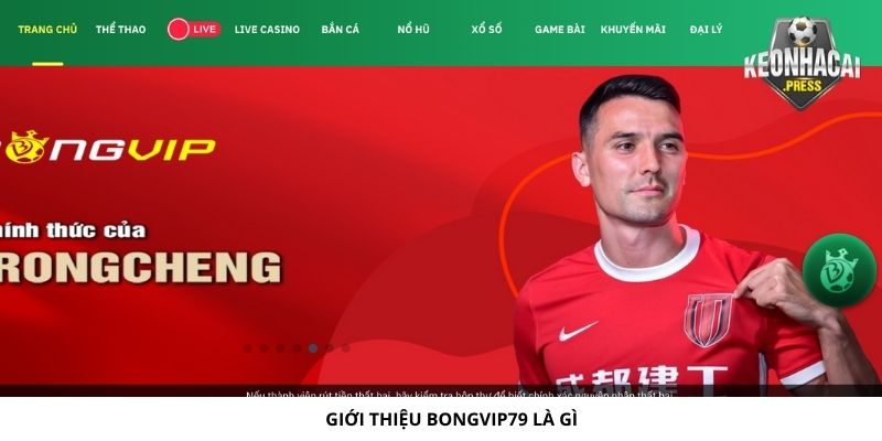 Bongvip79 Là Gì? Điểm Đến Lý Tưởng Cho Thể Thao Bóng Đá - bản quyền Kèo Nhà Cái 88 Giới thiệu Bongvip79 là gì