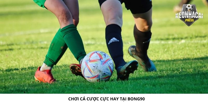 188vaobong Là Gì? Chia Sẻ Thông Tin Mới Nhất Về Website - bản quyền Kèo Nhà Cái 88 Soi kèo đỉnh cao tại 188vaobong